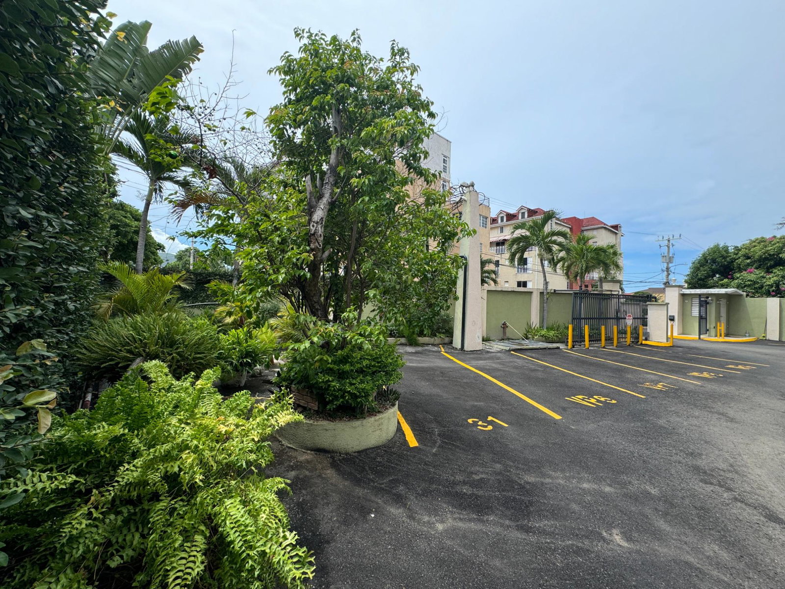 Ninth image of 35-19 Kensington Crescent in Kingston 5, St. Andrew, Jamaica - property is For Sale