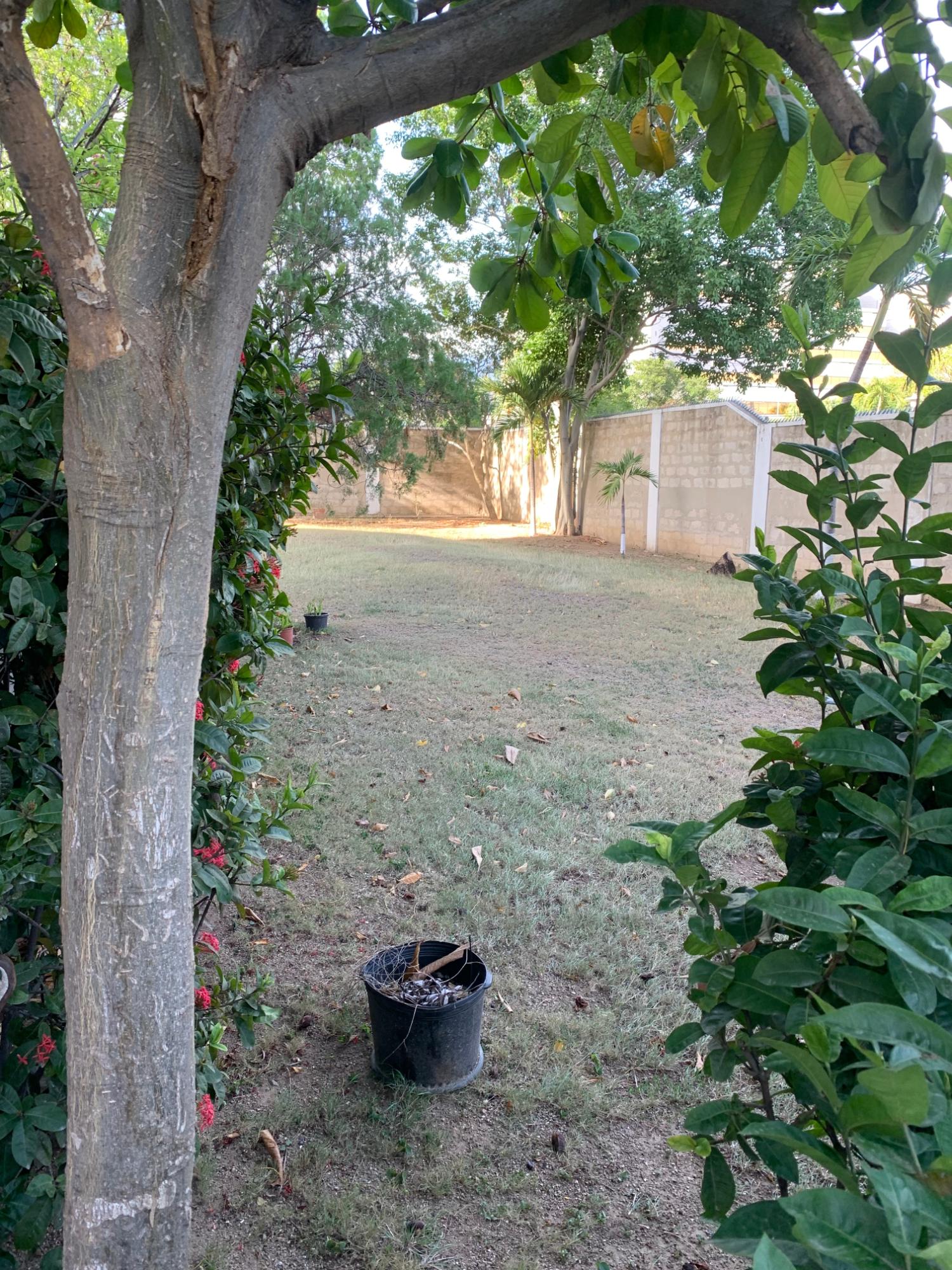 Tenth image of 47-3 Renfrew Road in Kingston 10, St. Andrew, Jamaica - property is For Rent