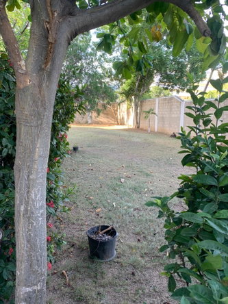 Tenth image of 47-3 Renfrew Road in Kingston 10, St. Andrew, Jamaica - property is For Rent