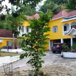 First image of B-lot 10 Julie Crescent, Bogue Hei in Montego Bay, St. James, Jamaica - property is For Rent