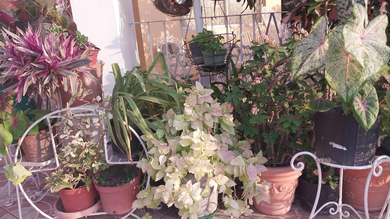 Second image of 18 Earls Court, Kingston 8 in Kingston 8, St. Andrew, Jamaica - property is For Rent