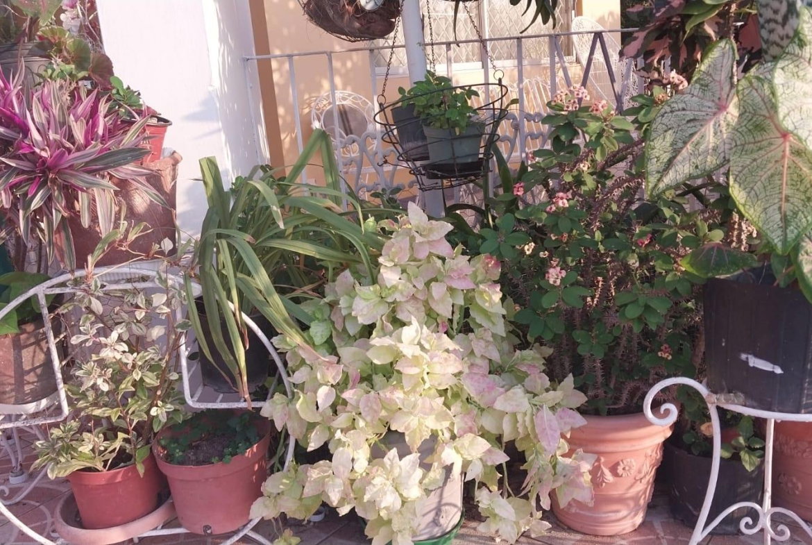 Twentieth image of 18 Earls Court, Kingston 8 in Kingston 8, St. Andrew, Jamaica - property is For Rent