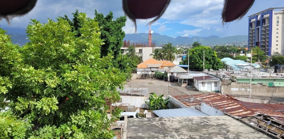 Nineteenth image of Apt 20-10 Central Avenue in CONSTANT SPRING, St. Andrew, Jamaica - property is For Rent