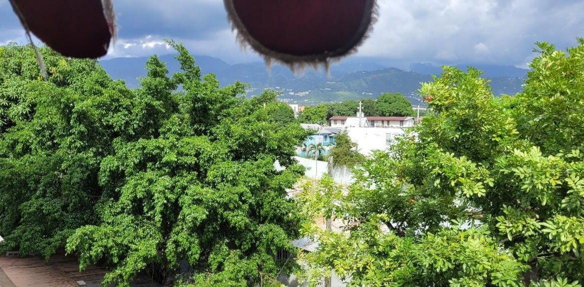 Twentieth image of Apt 20-10 Central Avenue in CONSTANT SPRING, St. Andrew, Jamaica - property is For Rent