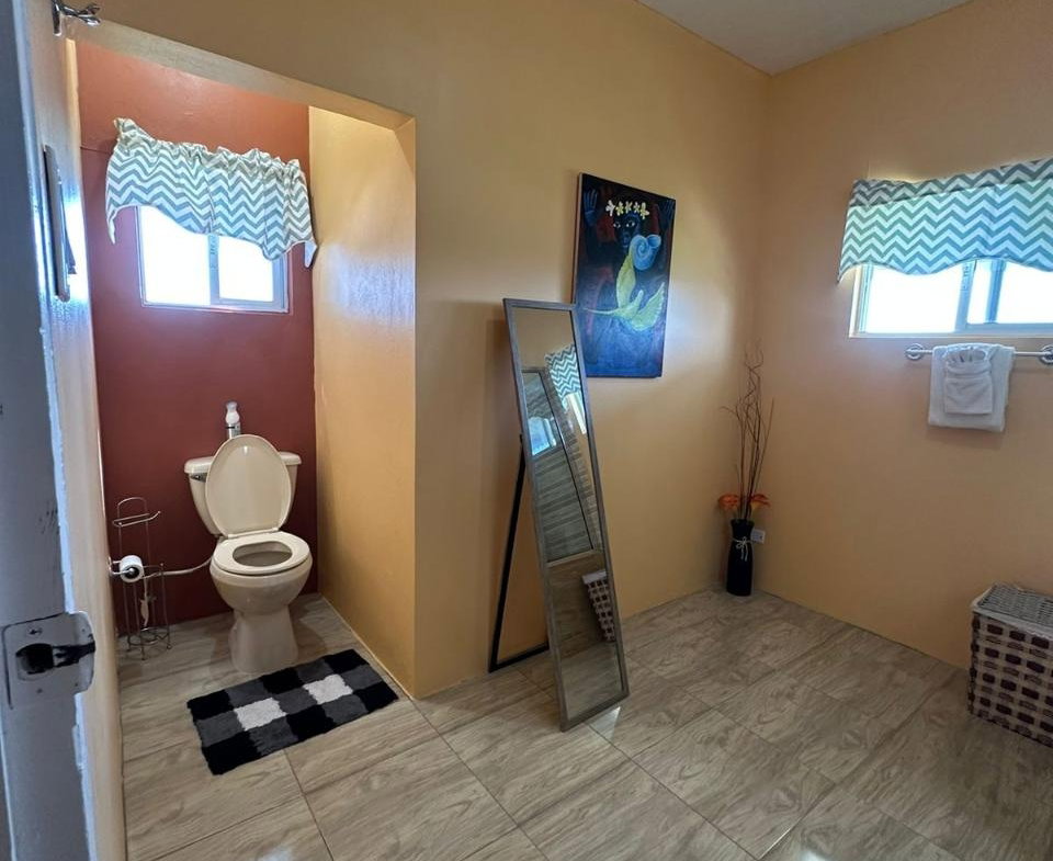 Twelfth image of 459 South View Dr, Rhyne Park in Little River, St. James, Jamaica - property is For Rent