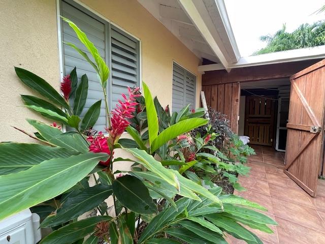 Fourteenth image of 134 Dandelion Avenue in Richmond, St. Ann, Jamaica - property is For Rent