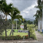 First image of 134 Dandelion Avenue in Richmond, St. Ann, Jamaica - property is For Rent