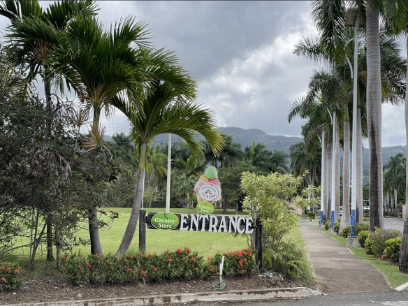 First image of 134 Dandelion Avenue in Richmond, St. Ann, Jamaica - property is For Rent