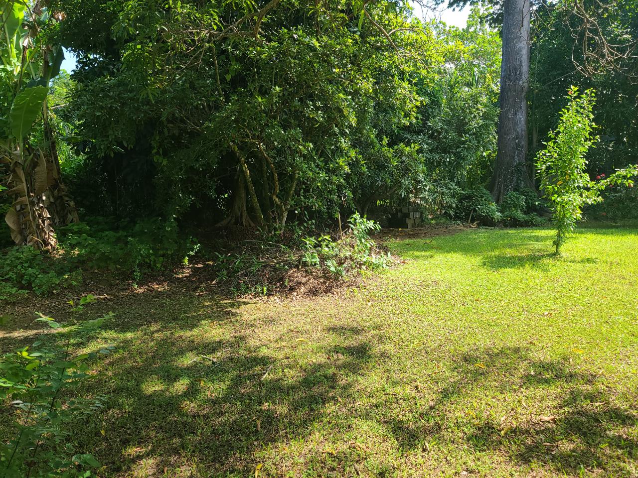 Furnished-3-Bedroom-House-for-Sale-in-Orange-Bay-Jamaica Third image of Orange Bay in Orange Bay, Hanover, Jamaica - property is For Sale
