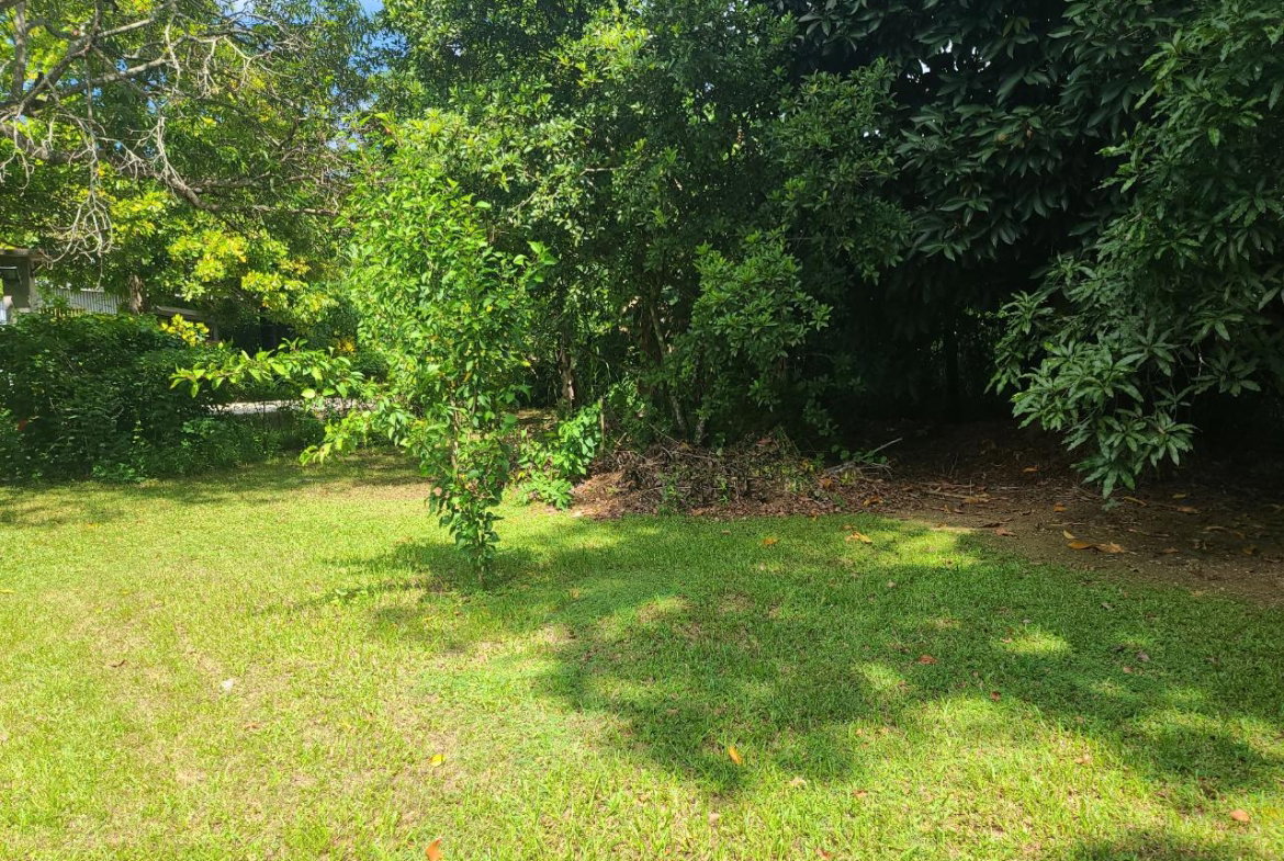 Thirtieth image of Orange Bay in Orange Bay, Hanover, Jamaica - property is For Sale