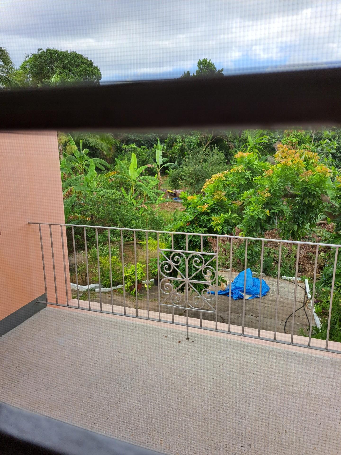 Second image of 14 Graham Heights, Kingston in Kingston 6, St. Andrew, Jamaica - property is For Rent