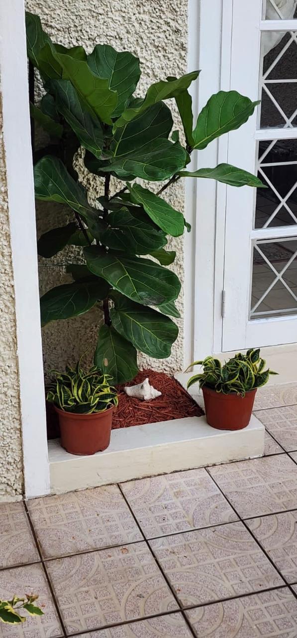 Twentieth image of 26-1a Norbrook Road, Kingston 8 in Kingston 8, St. Andrew, Jamaica - property is For Rent