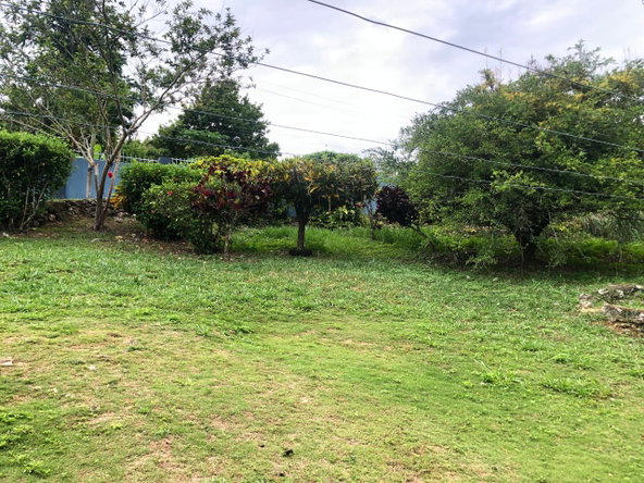 Twenty-Third image of Dawkins District, Mocho in Mocho, Clarendon, Jamaica - property is For Rent