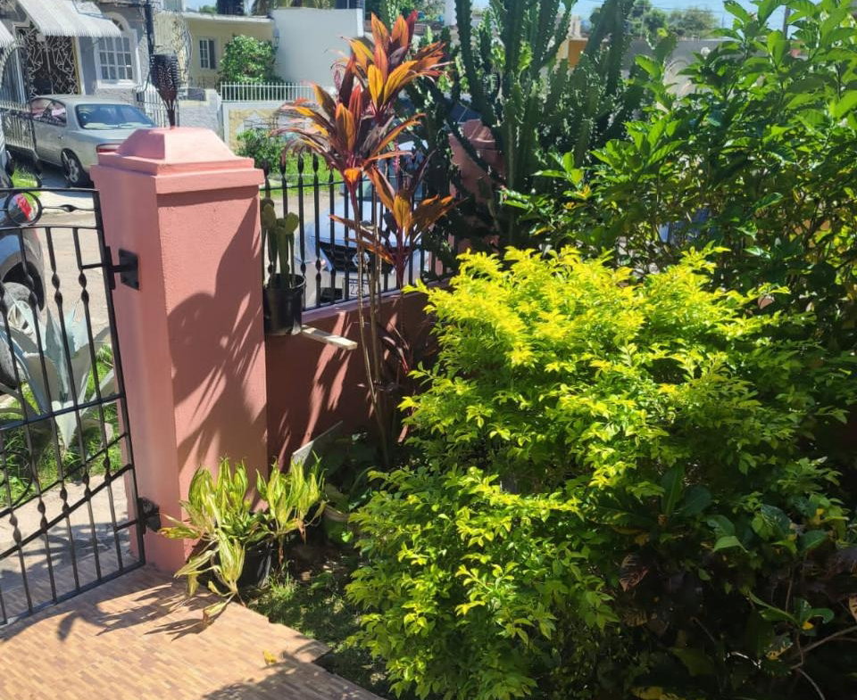 Third image of Candlebrush Avenue in Spanish Town, St. Catherine, Jamaica - property is For Rent