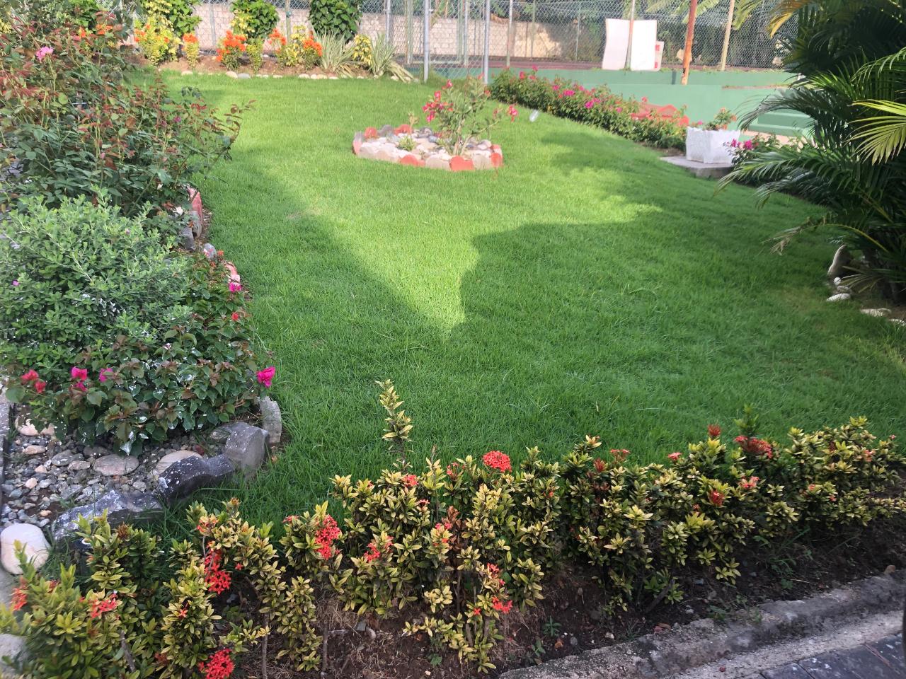 Eighth image of Cowper Avenue in Kingston 6, St. Andrew, Jamaica - property is For Rent