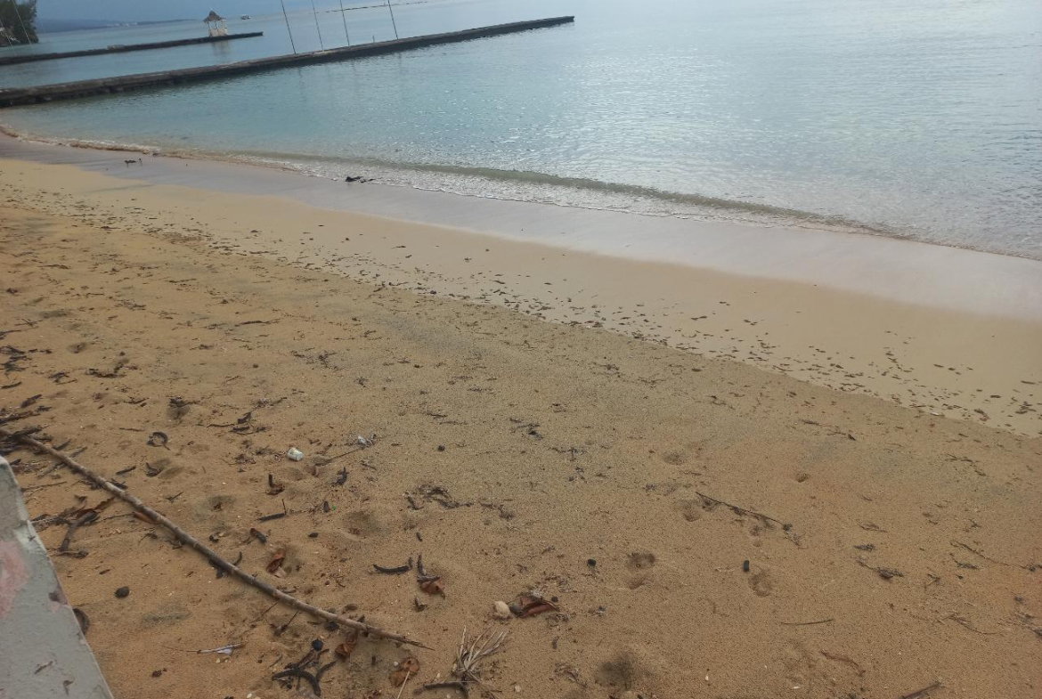 Twenty-First image of 102 Gates of Edgehill in Tower Isle, St. Mary, Jamaica - property is For Sale