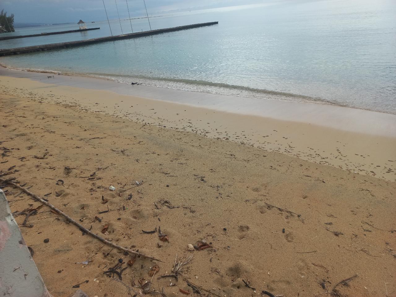 Twenty-First image of 102 Gates of Edgehill in Tower Isle, St. Mary, Jamaica - property is For Sale