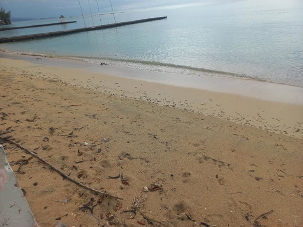 Twenty-First image of 102 Gates of Edgehill in Tower Isle, St. Mary, Jamaica - property is For Sale
