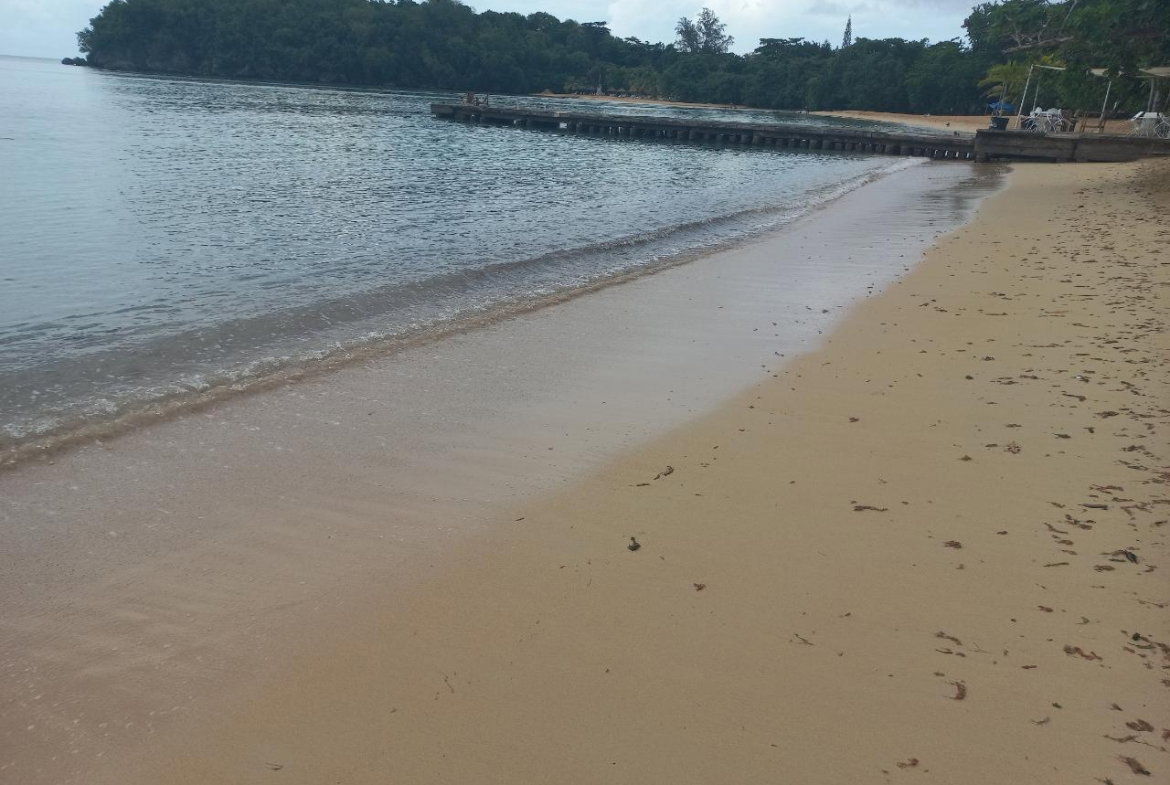 Twenty-Second image of 102 Gates of Edgehill in Tower Isle, St. Mary, Jamaica - property is For Sale