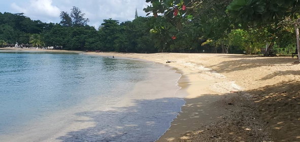 Twenty-Sixth image of 102 Gates of Edgehill in Tower Isle, St. Mary, Jamaica - property is For Sale