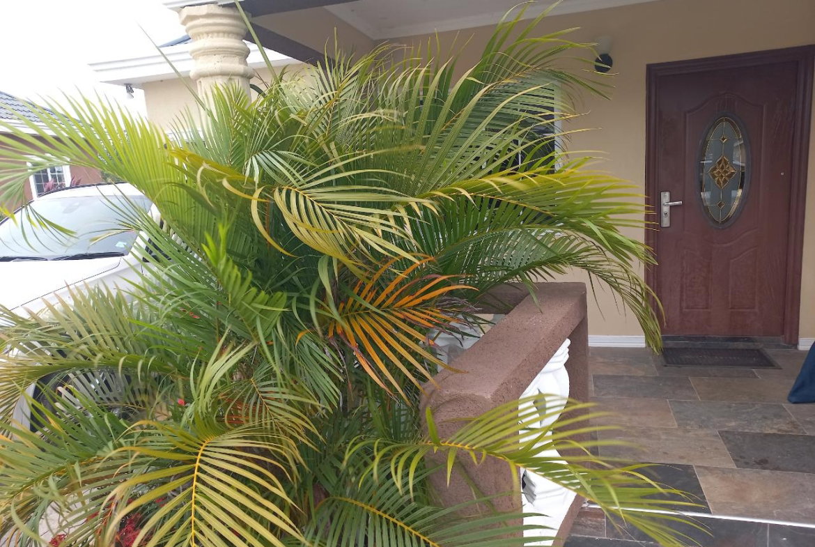 Seventh image of 10 Genesis Manor in Santa Cruz, St. Elizabeth, Jamaica - property is For Sale