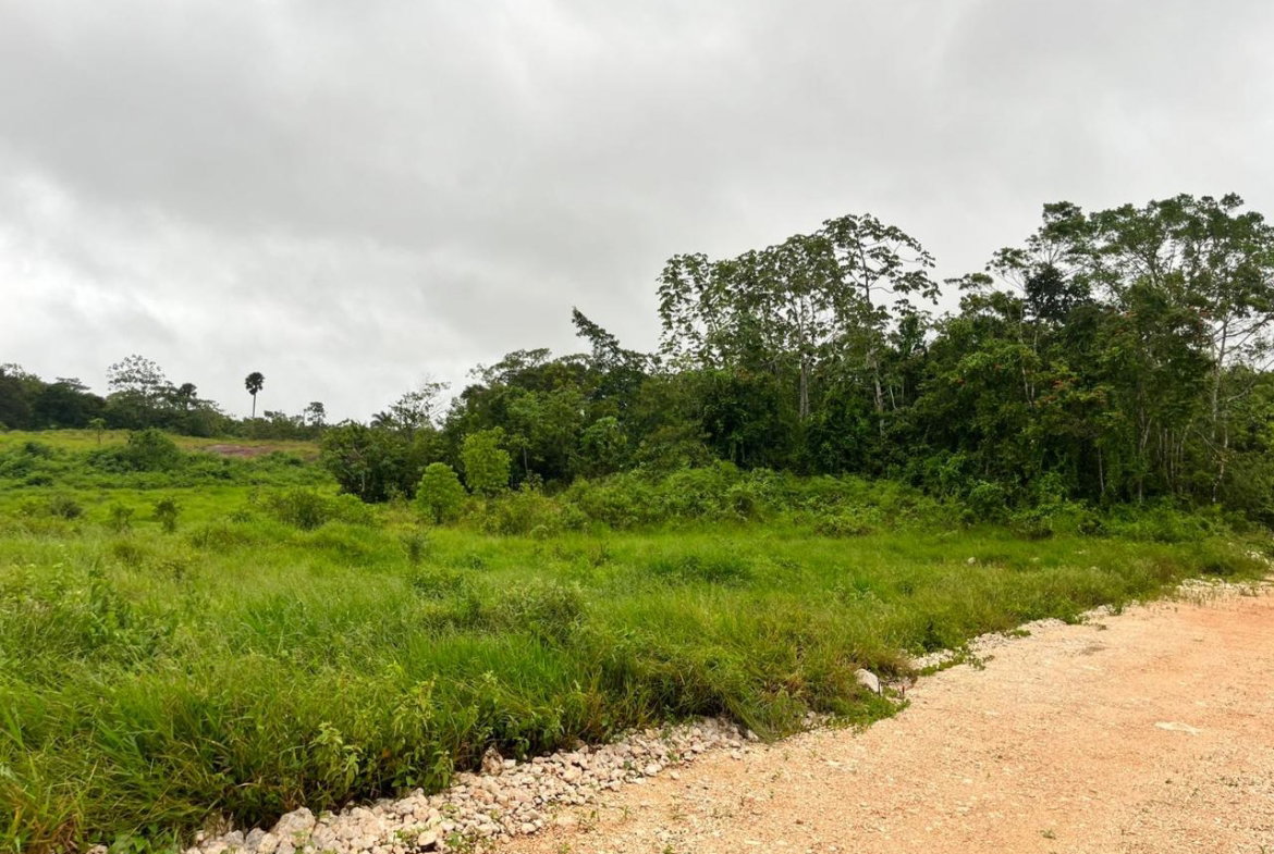 First image of Knockpatrick, Manchester in Knockpatrick, Manchester, Jamaica - property is For Sale