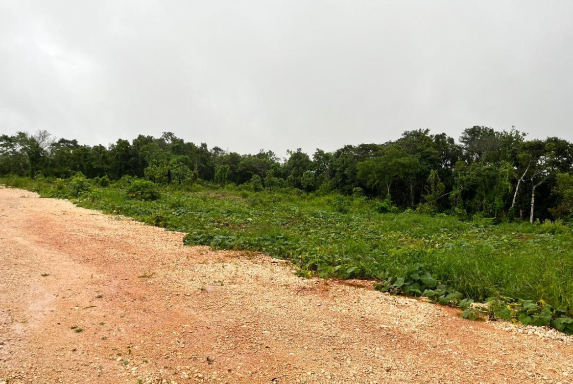 Third image of Knockpatrick, Manchester in Knockpatrick, Manchester, Jamaica - property is For Sale