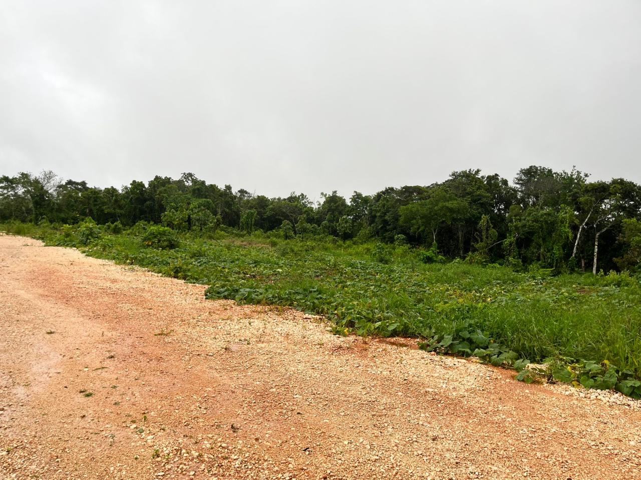 Third image of Knockpatrick, Manchester in Knockpatrick, Manchester, Jamaica - property is For Sale