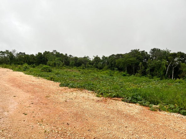 Third image of Knockpatrick, Manchester in Knockpatrick, Manchester, Jamaica - property is For Sale