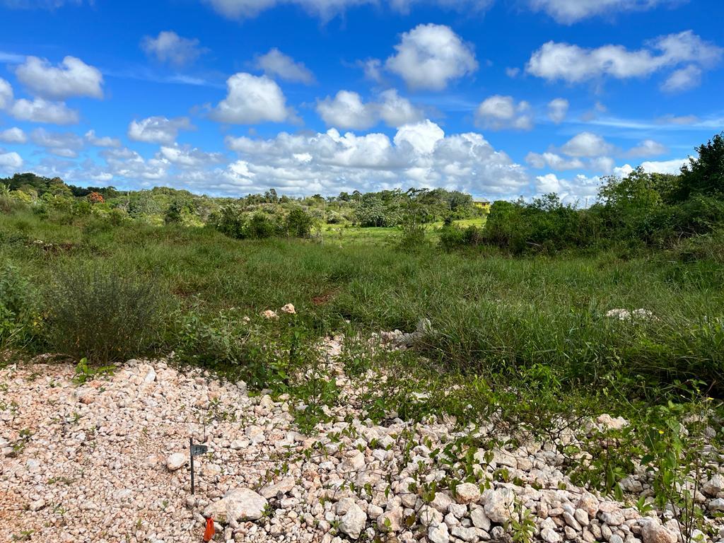 Fourth image of Knockpatrick, Manchester in Knockpatrick, Manchester, Jamaica - property is For Sale