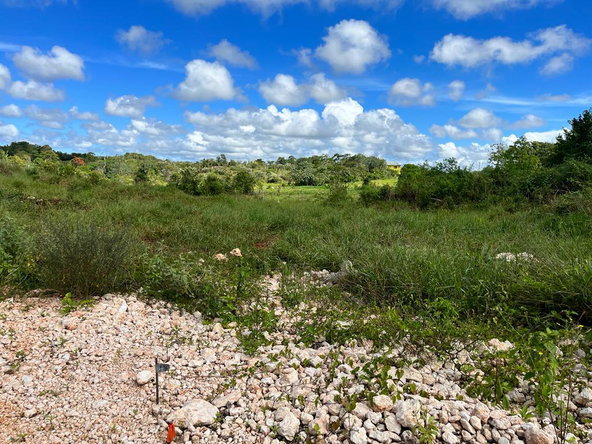 Fourth image of Knockpatrick, Manchester in Knockpatrick, Manchester, Jamaica - property is For Sale