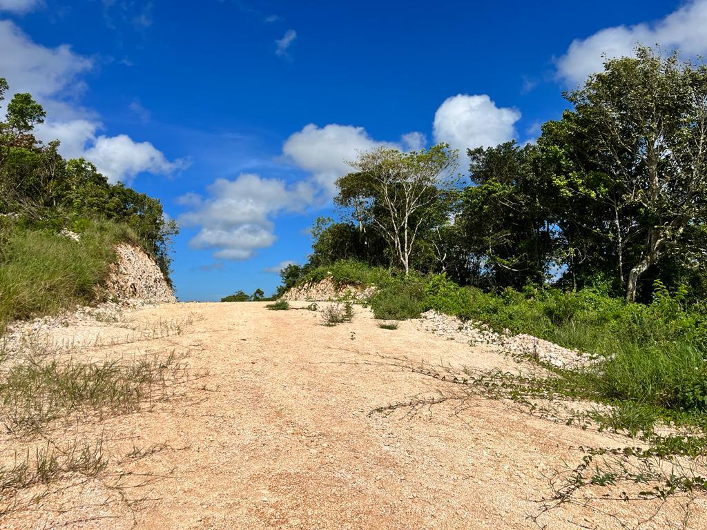 Fifth image of Knockpatrick, Manchester in Knockpatrick, Manchester, Jamaica - property is For Sale