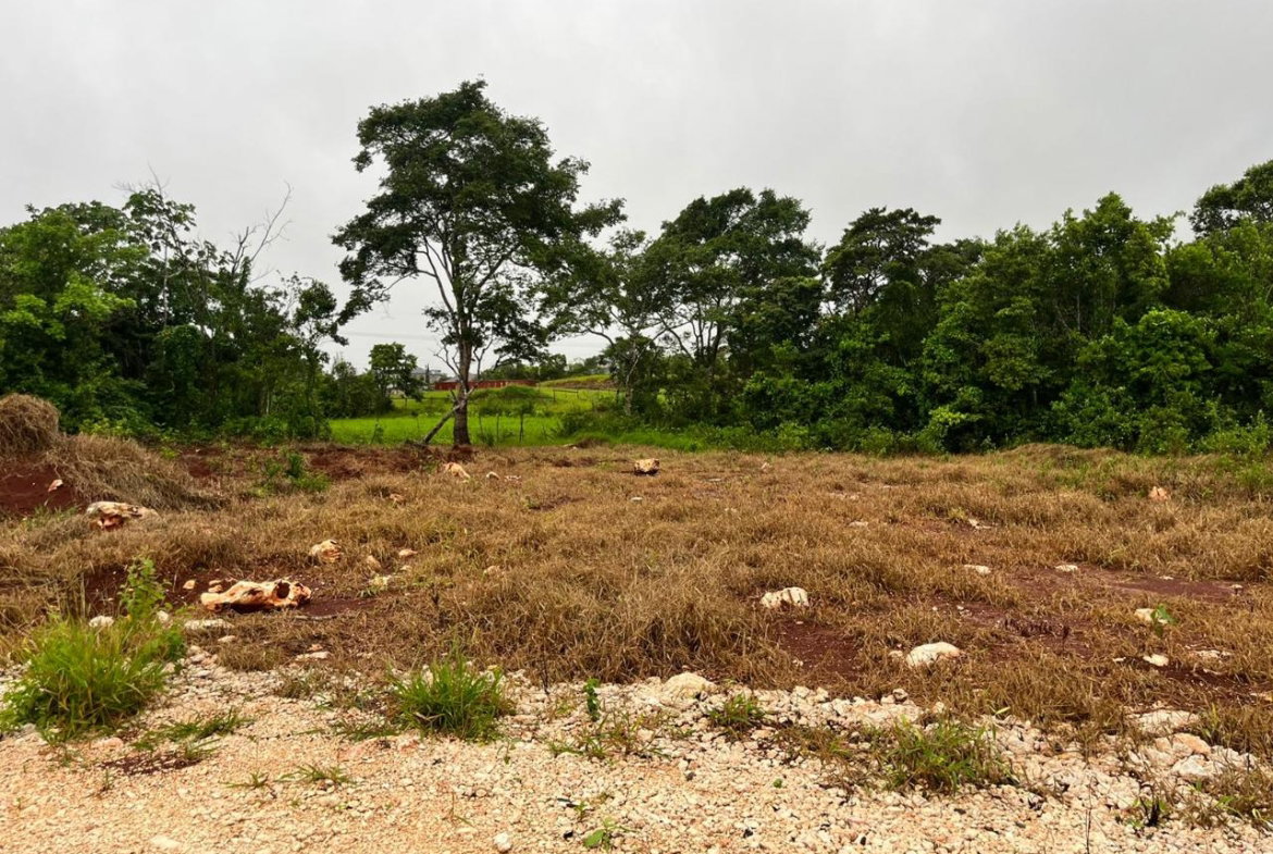 Sixth image of Knockpatrick, Manchester in Knockpatrick, Manchester, Jamaica - property is For Sale