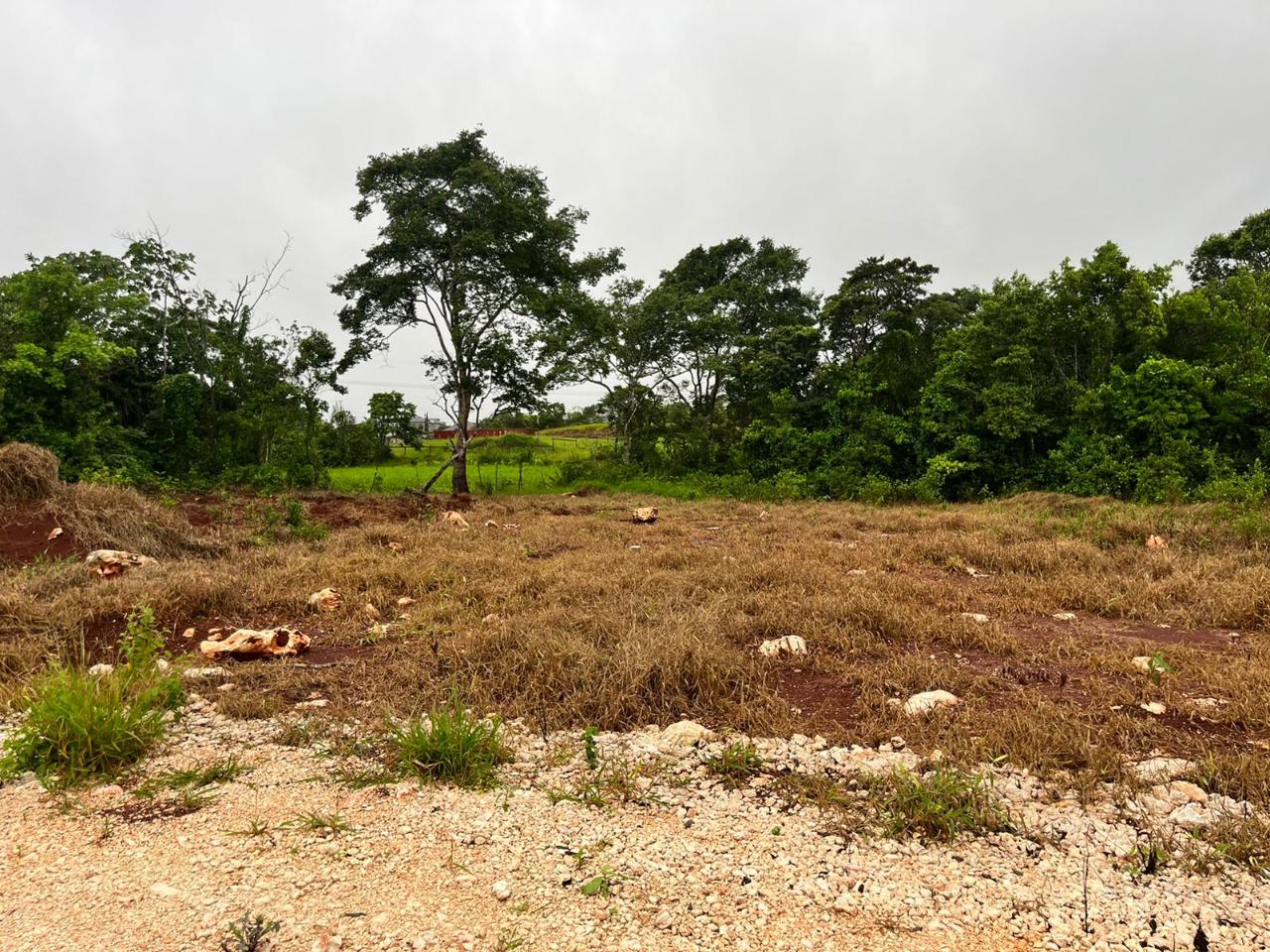 Sixth image of Knockpatrick, Manchester in Knockpatrick, Manchester, Jamaica - property is For Sale