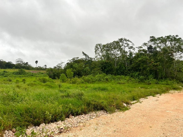 First image of Knockpatrick, Manchester in Knockpatrick, Manchester, Jamaica - property is For Sale