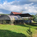 First image of Grierfield Moneague, St. Ann in Moneague, St. Ann, Jamaica - property is For Sale