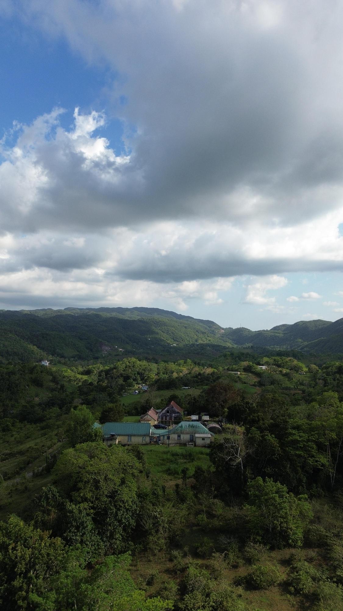 Seventeenth image of Grierfield Moneague, St. Ann in Moneague, St. Ann, Jamaica - property is For Sale