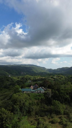 Seventeenth image of Grierfield Moneague, St. Ann in Moneague, St. Ann, Jamaica - property is For Sale