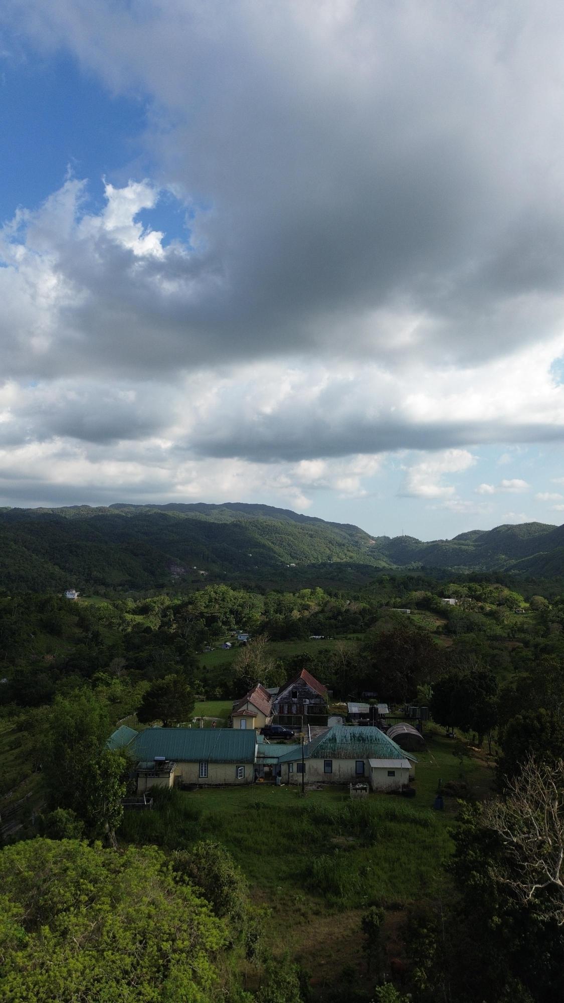 Eighteenth image of Grierfield Moneague, St. Ann in Moneague, St. Ann, Jamaica - property is For Sale
