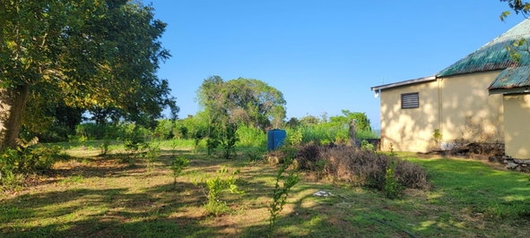 Third image of Grierfield Moneague, St. Ann in Moneague, St. Ann, Jamaica - property is For Sale