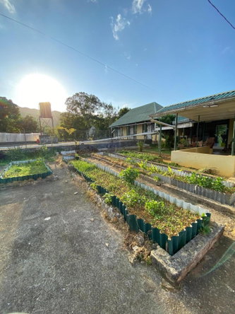 Twenty-First image of Grierfield Moneague, St. Ann in Moneague, St. Ann, Jamaica - property is For Sale