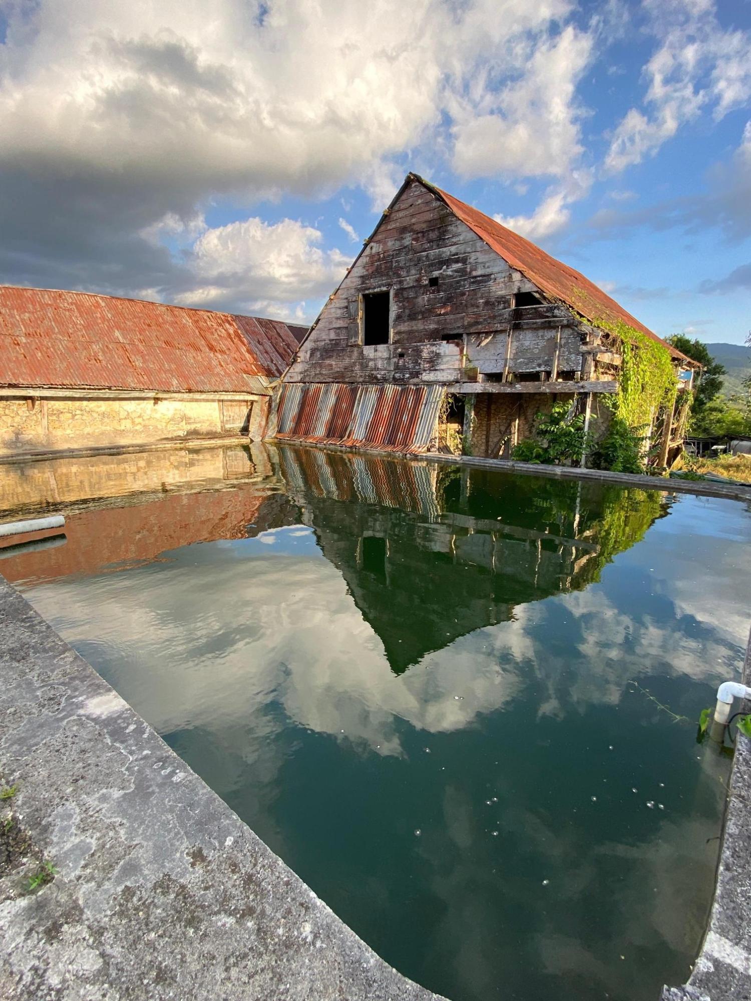 Twenty-Fourth image of Grierfield Moneague, St. Ann in Moneague, St. Ann, Jamaica - property is For Sale