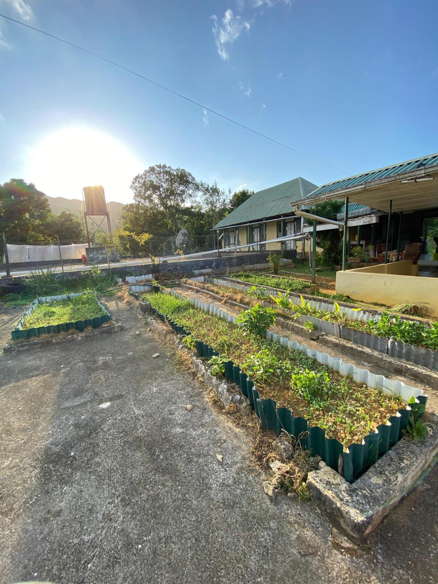 Twenty-Seventh image of Grierfield Moneague, St. Ann in Moneague, St. Ann, Jamaica - property is For Sale