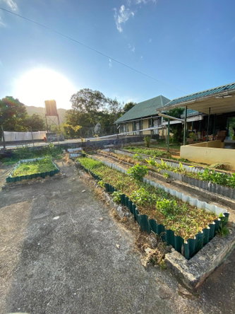 Twenty-Seventh image of Grierfield Moneague, St. Ann in Moneague, St. Ann, Jamaica - property is For Sale