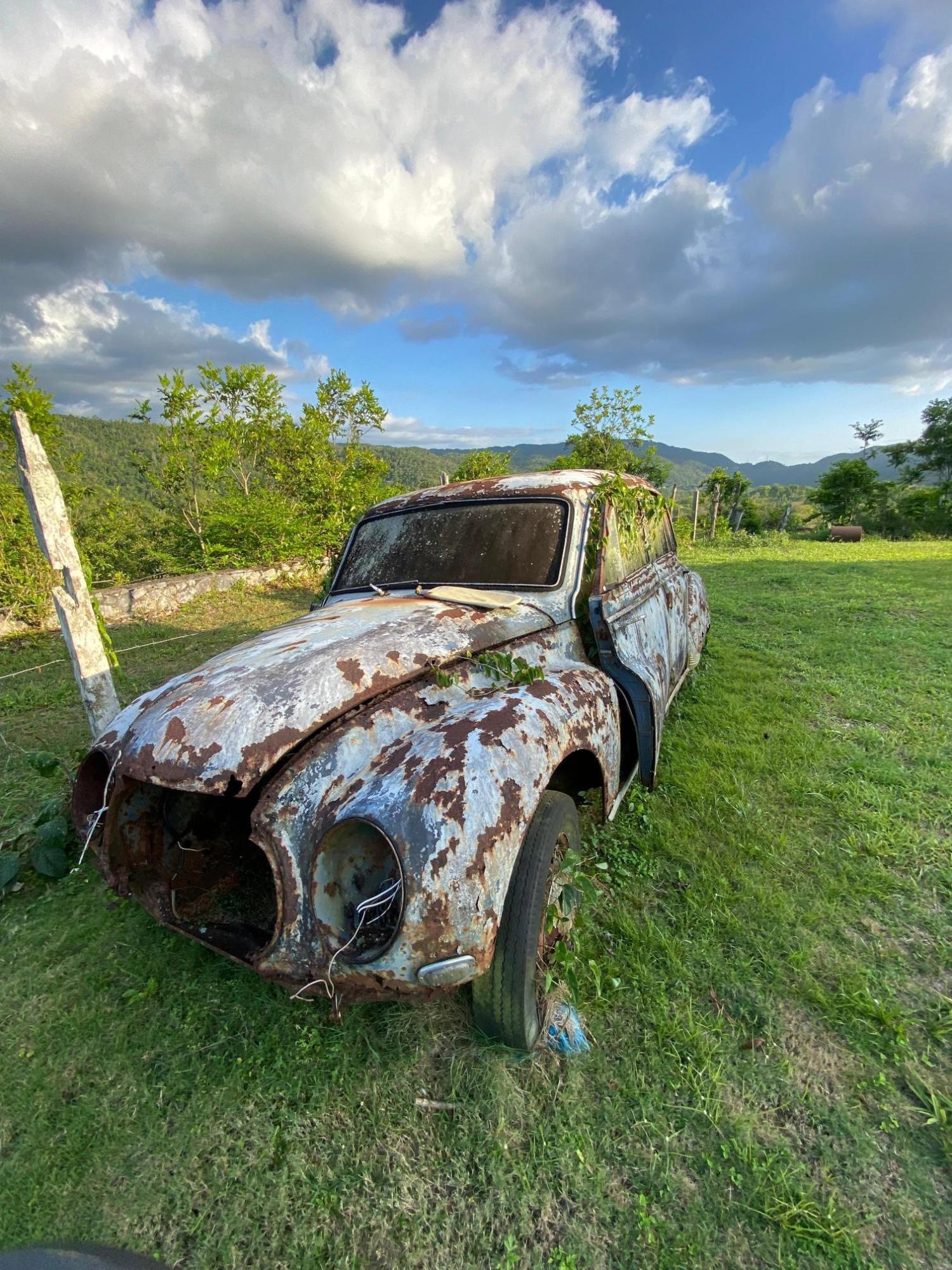Thirtieth image of Grierfield Moneague, St. Ann in Moneague, St. Ann, Jamaica - property is For Sale