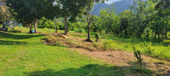 Fourth image of Grierfield Moneague, St. Ann in Moneague, St. Ann, Jamaica - property is For Sale