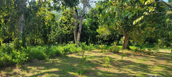 Sixth image of Grierfield Moneague, St. Ann in Moneague, St. Ann, Jamaica - property is For Sale