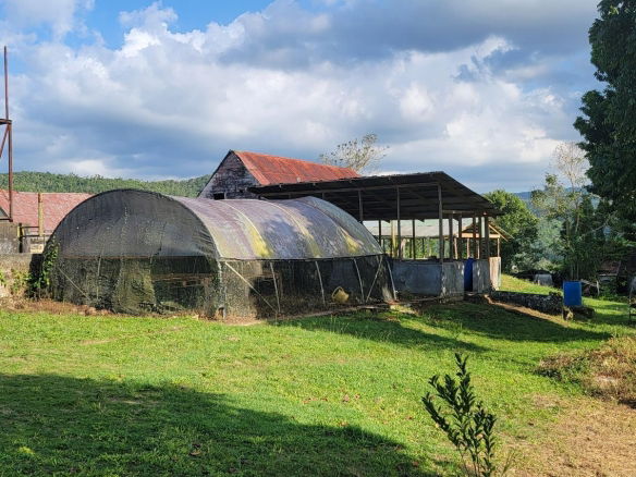 First image of Grierfield Moneague, St. Ann in Moneague, St. Ann, Jamaica - property is For Sale