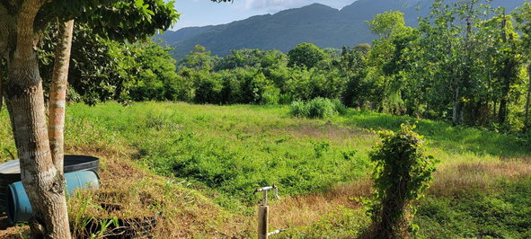 Eighth image of Grierfield Moneague, St. Ann in Moneague, St. Ann, Jamaica - property is For Sale
