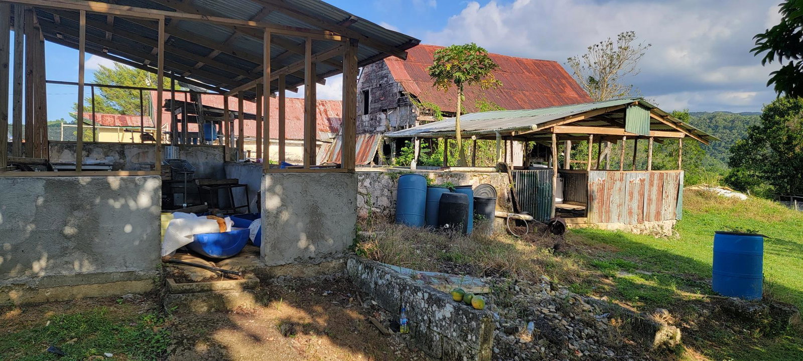 Ninth image of Grierfield Moneague, St. Ann in Moneague, St. Ann, Jamaica - property is For Sale